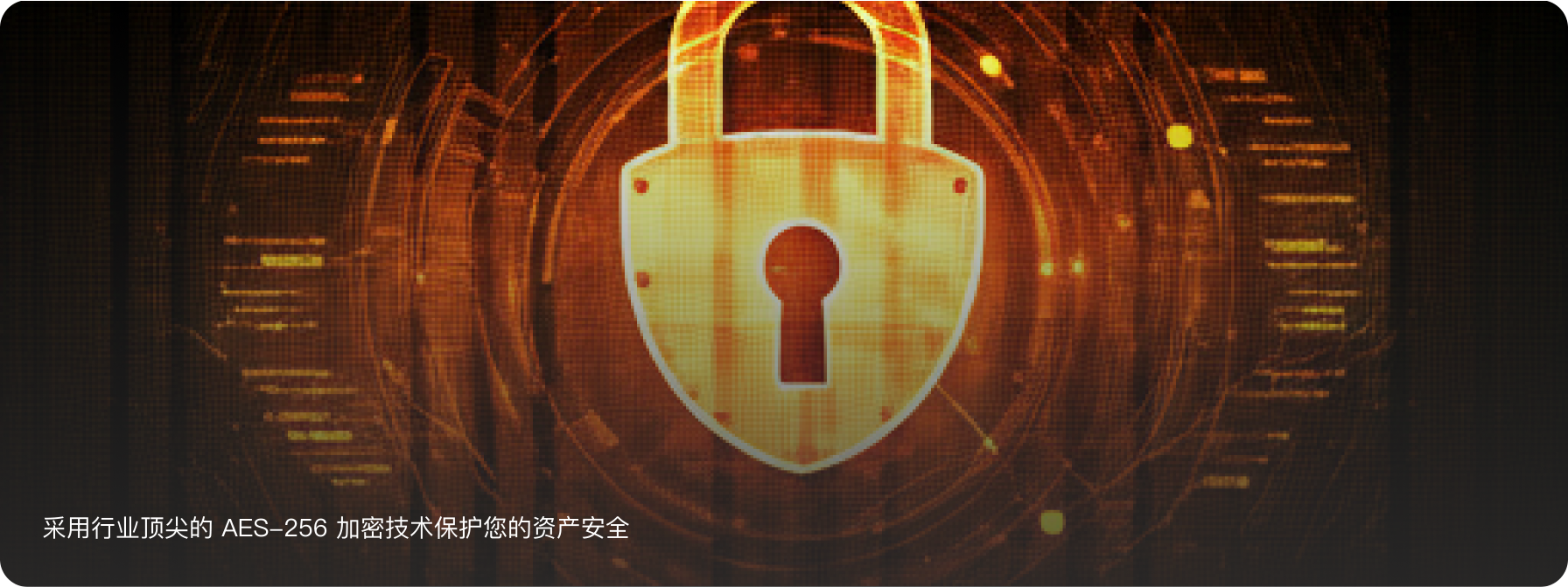 RSSAI 数据安全防护示意图